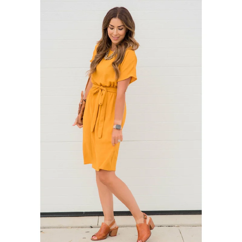 Short Sleeve Tie Dress